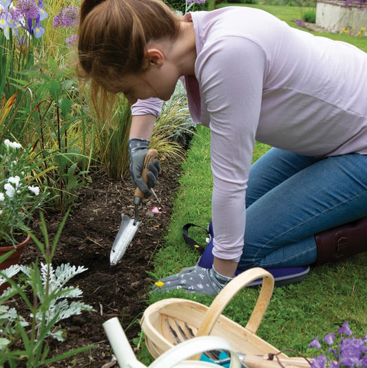 Wilkinson Sword - Stainless Steel Hand Transplanter