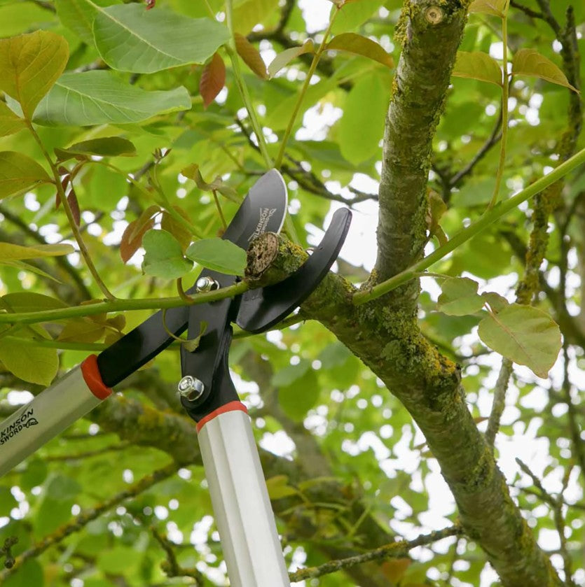 Wilkinson Sword - Geared Bypass Loppers