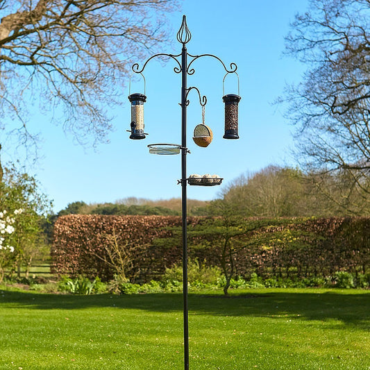 Tom Chmabers - All Seasons Bird Feeding Station