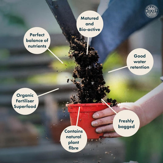 Rocketgro - Seed & Cutting with John Innes Compost - 20L