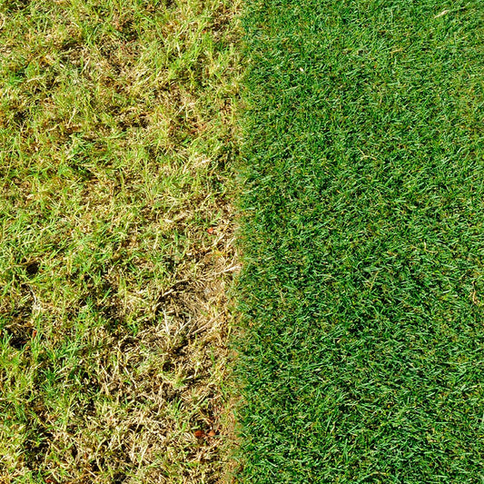 MiracleGro Complete 4-in-1 Lawn Treatment - 360m²