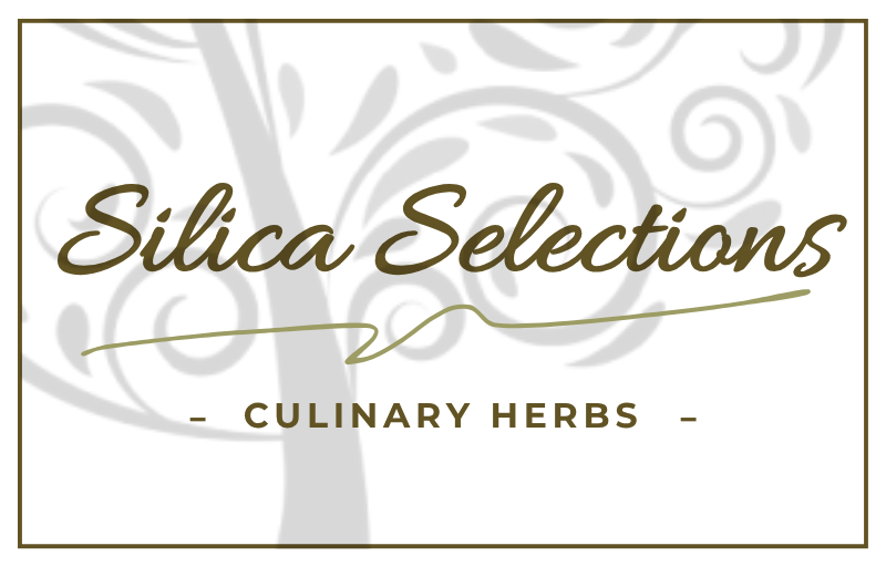 Silica Selections - Culinary Herbs
