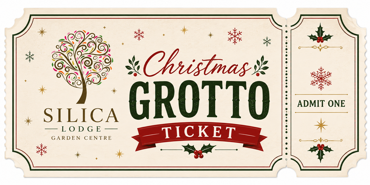 Christmas Grotto Tickets - 2026