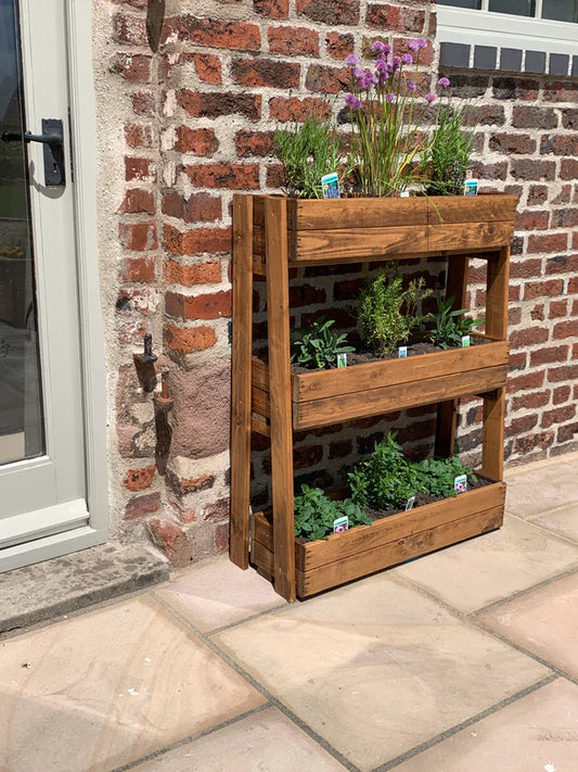 Charles Taylor - Herb Garden