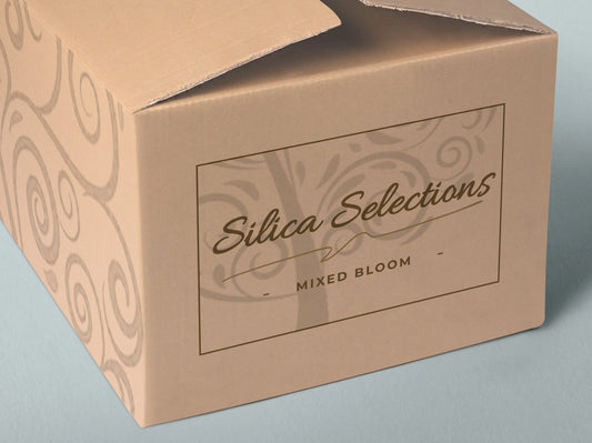 Silica Selections - Mixed Bloom