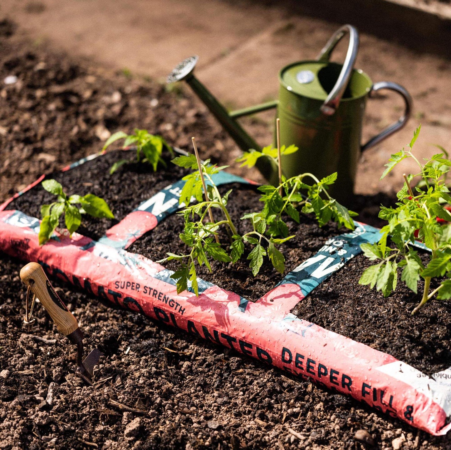 RocketGro Peat-Free Tomato & Veg Planter - 60L