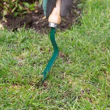 Wilkinson Sword - Carbon Steel Weed Grubber