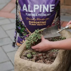 Westand Alpine Peat-Free Planting and Potting Mix - 25L