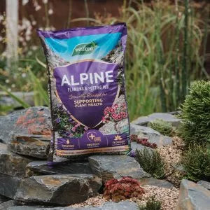 Westand Alpine Peat-Free Planting and Potting Mix - 25L