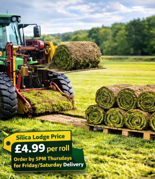 Fresh Turf Roll - 1m²