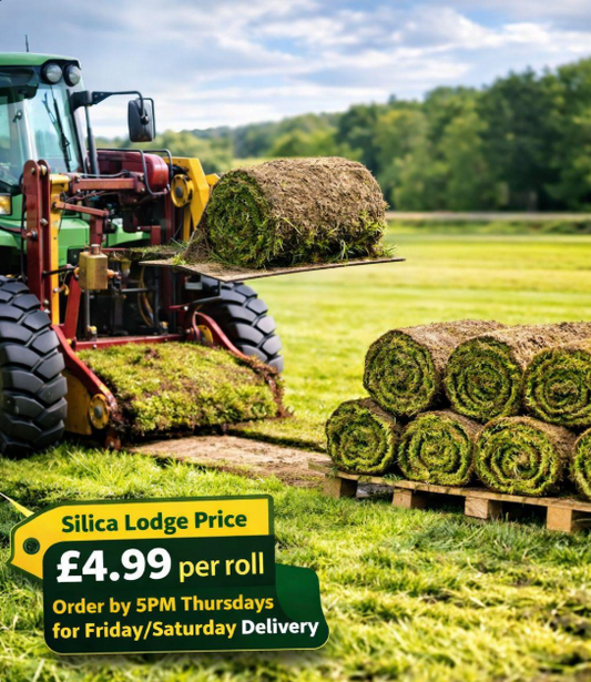 Fresh Turf Roll - 1m²