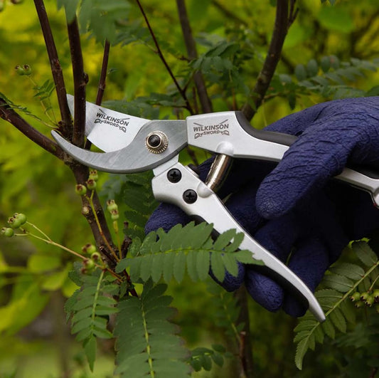 Wilkinson Sword - Deluxe Boxed Bypass Pruners