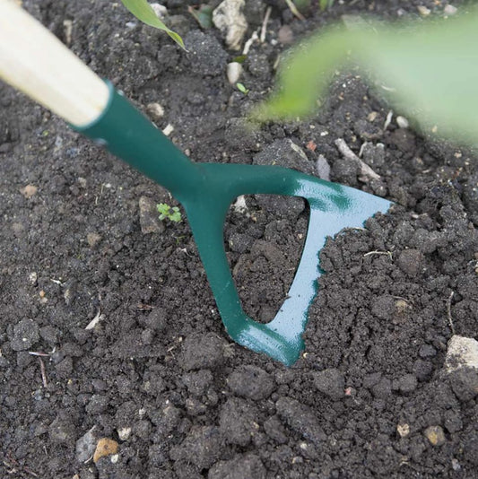 Wilkinson Sword - Carbon Steel Dutch Hoe (150cm)