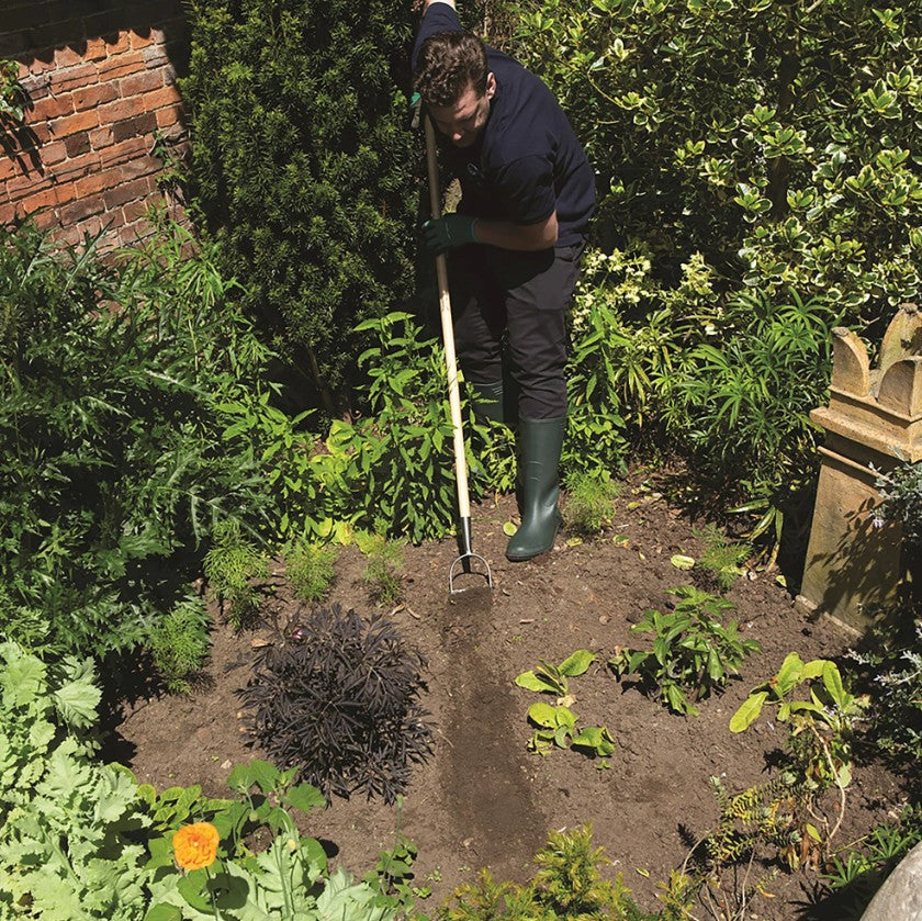 Wilkinson Sword - Stainless Steel Dutch Hoe