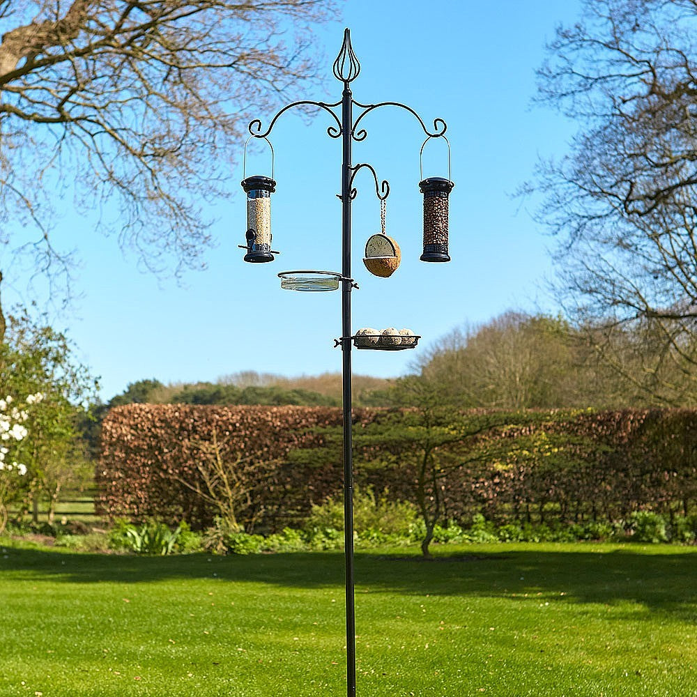 Tom Chmabers - All Seasons Bird Feeding Station