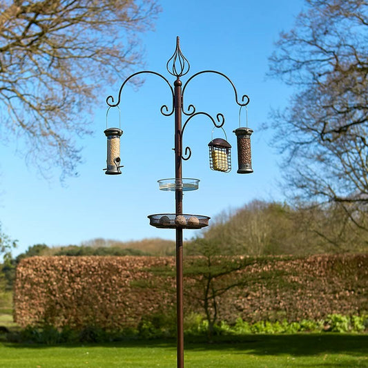 Tom Chambers - Ascot Bird Feeding Station