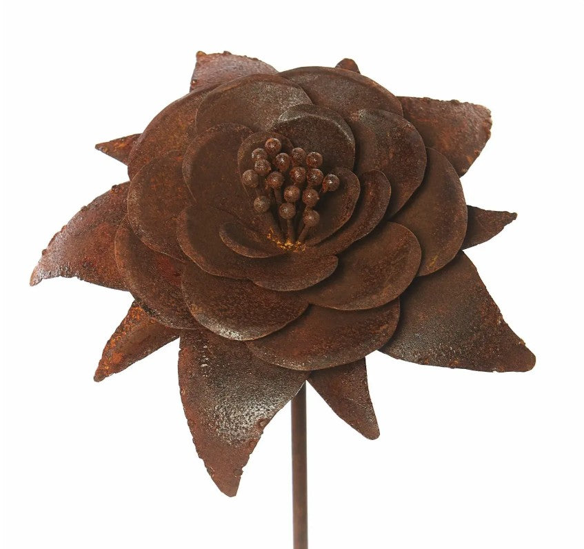 Tom Chambers - Camelia Plant Stake - Medium