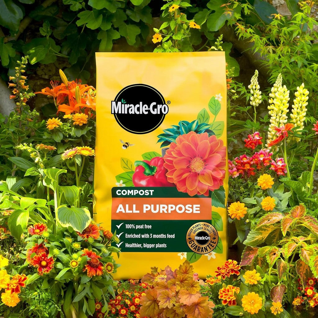 Miracle-Gro All Purpose Compost - 50L