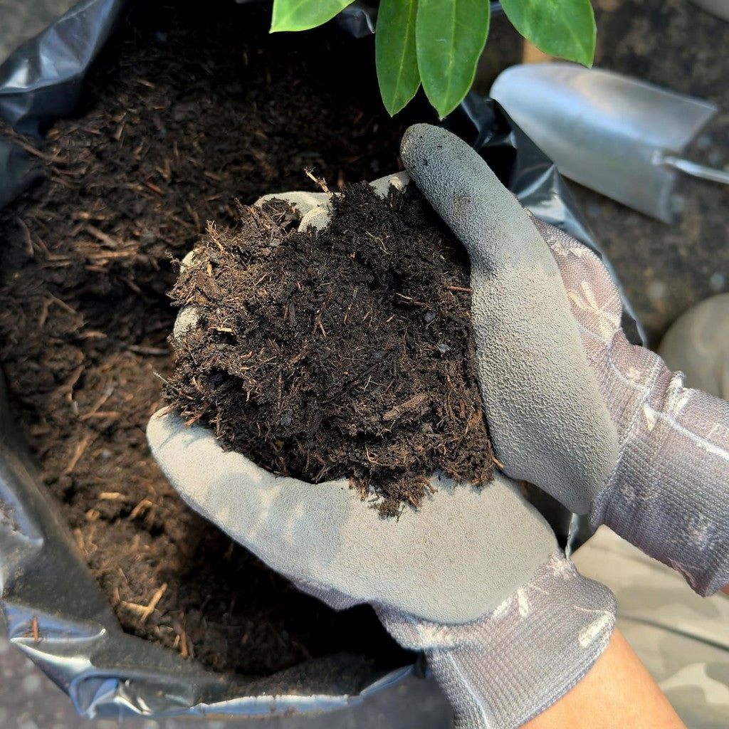 Miracle-Gro All Purpose Compost - 50L