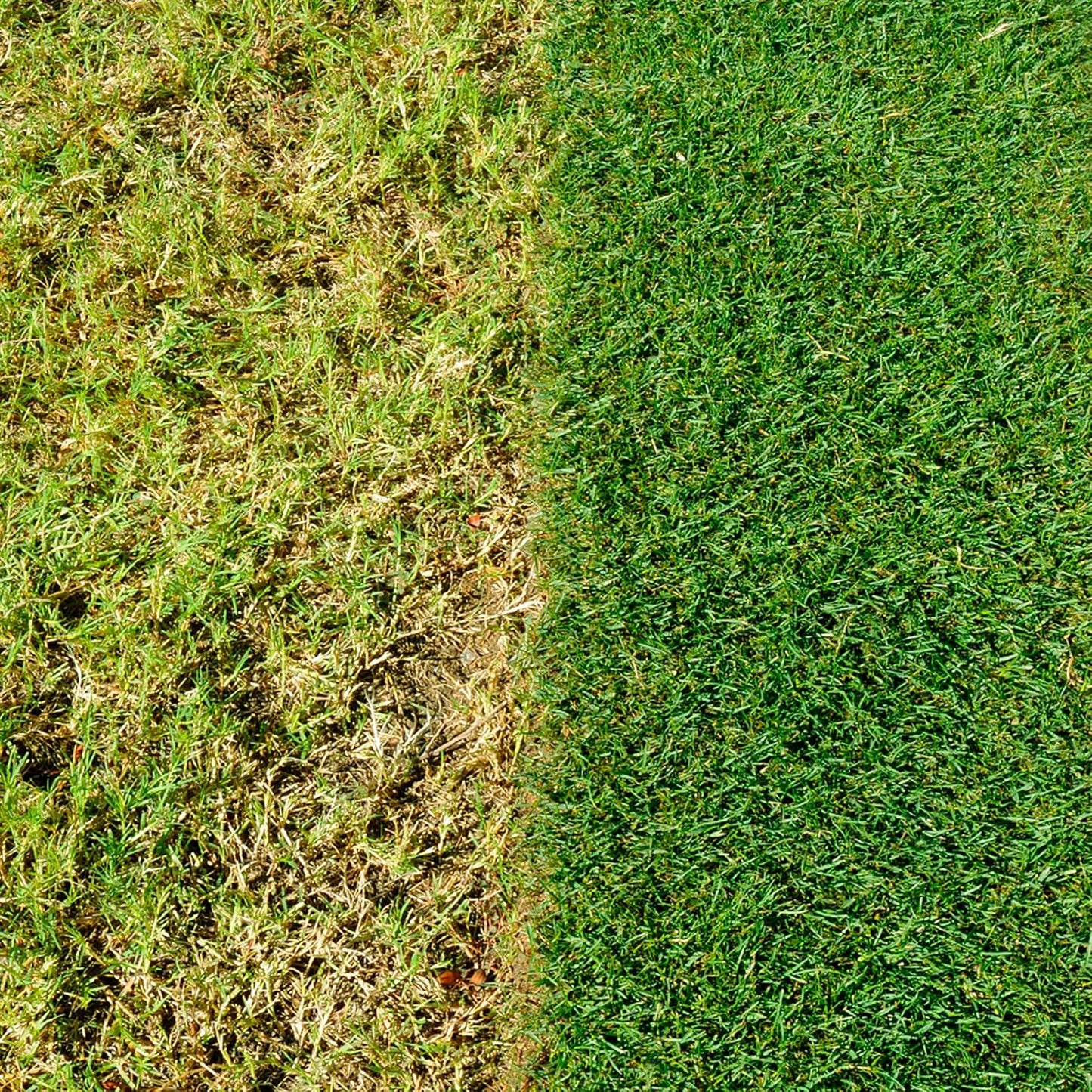 MiracleGro Complete 4-in-1 Lawn Treatment - 360m²