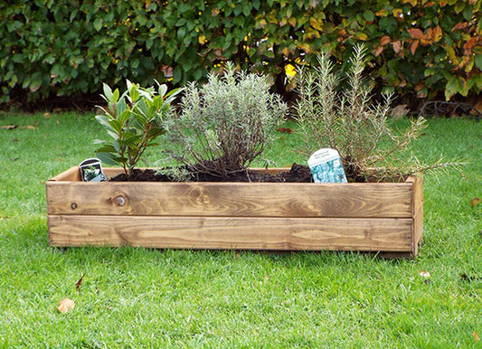 Charles Taylor - Large Window Box
