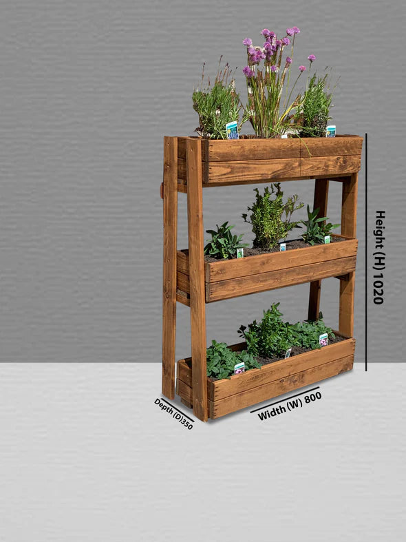 Charles Taylor - Herb Garden