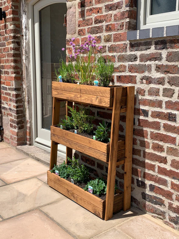 Charles Taylor - Herb Garden