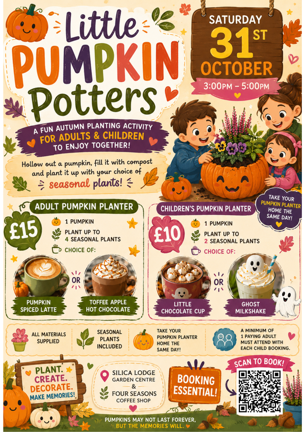 🎃 Little Pumpkin Potters 🎃