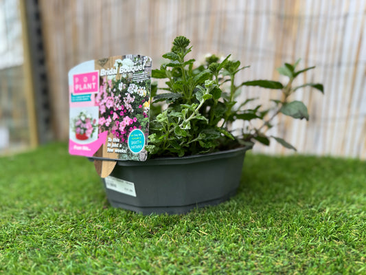 Bridal Bouquet - Pop Plant Basket