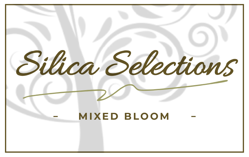 Silica Selections - Mixed Bloom