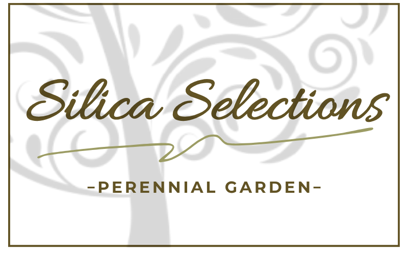 Silica Selections - Perennial Garden