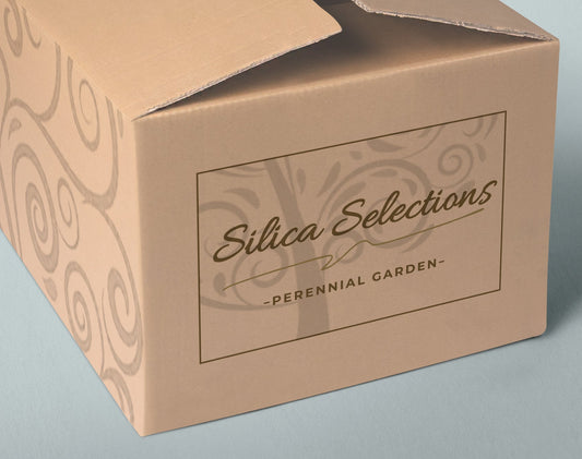 Silica Selections - Perennial Garden