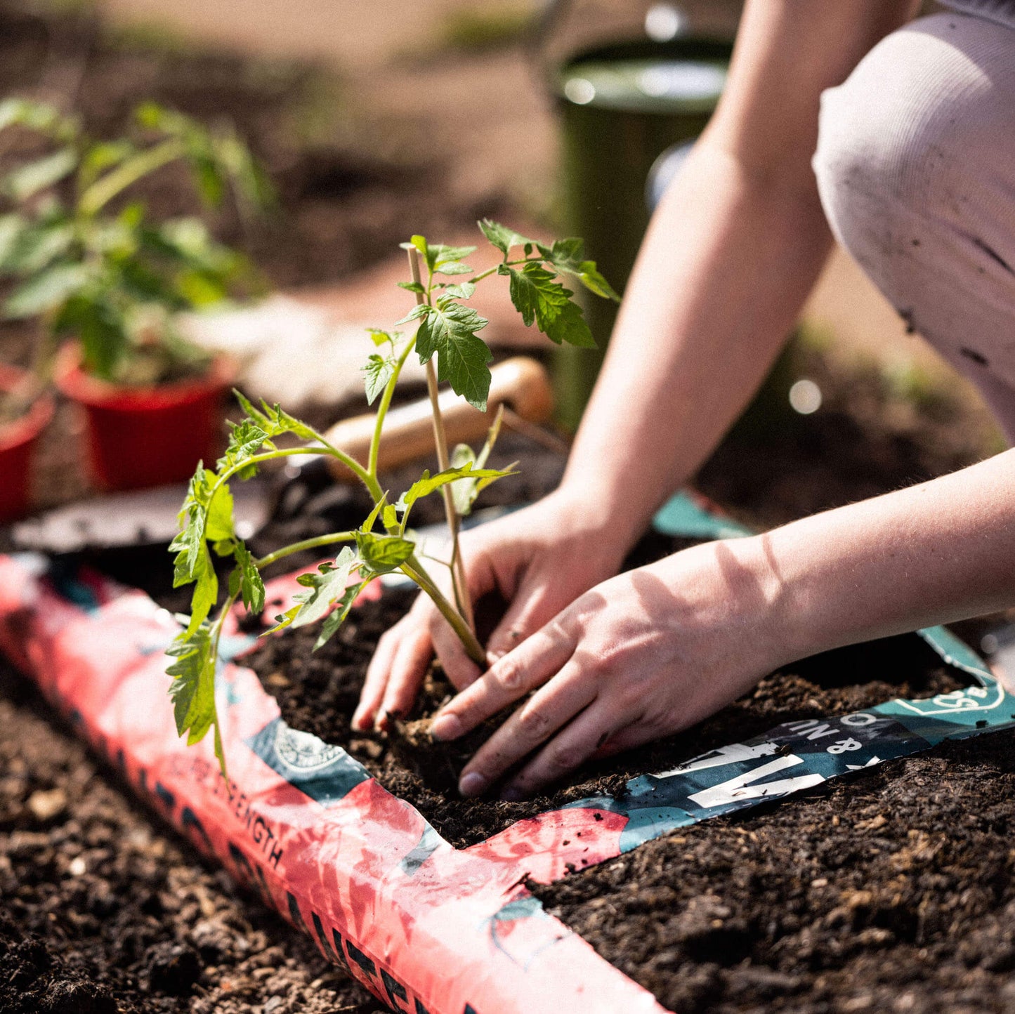 RocketGro Peat-Free Tomato & Veg Planter - 60L