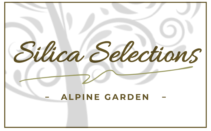 Silica Selections - Alpine Garden