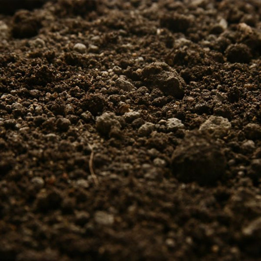 Quality Top Soil - Loose